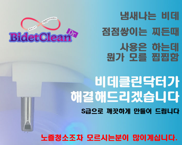 ★한정판매-비데청소★ 분리형 일체형 비데분해스팀청소 공동구매